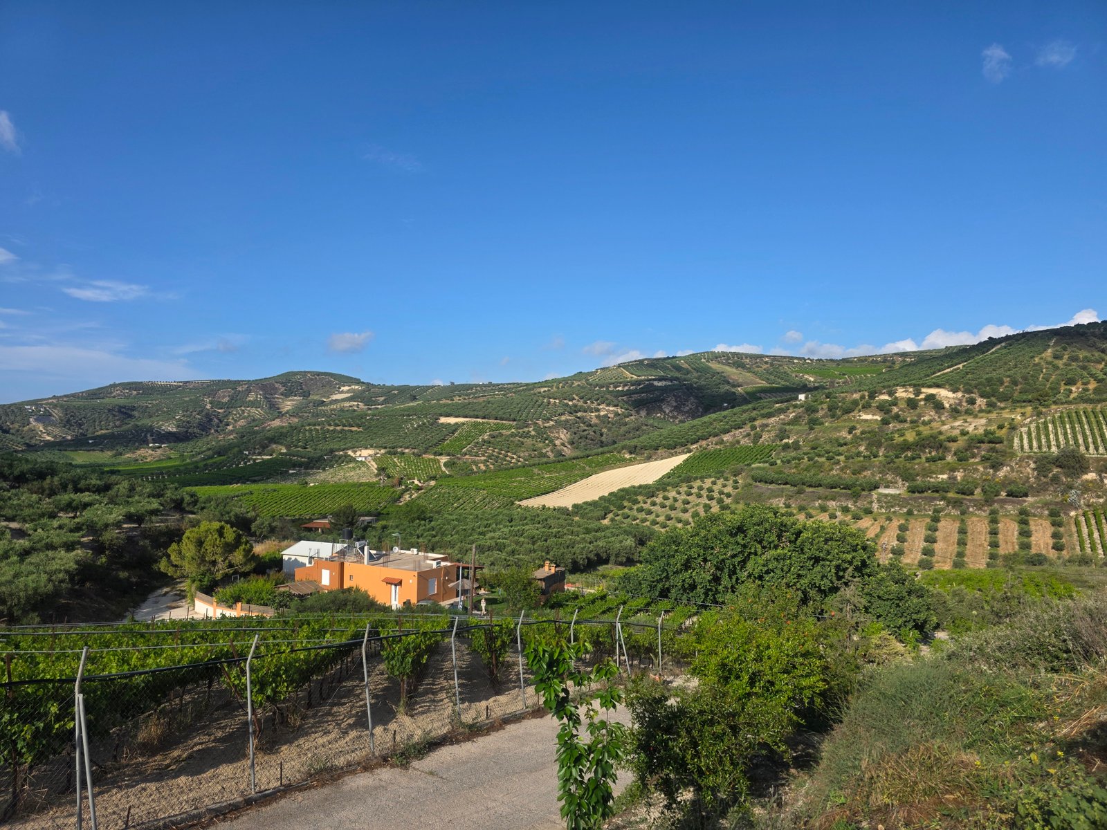 Crete Off The Beaten Path – 105 Olives Greece | Luxury Private Experiences