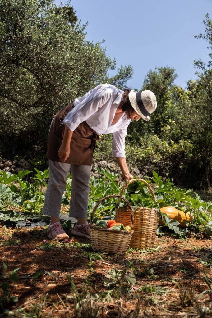 Discover the best private tours in Crete — private guided tour, Crete, Greece