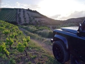 Chania Private Tour – 105 Olives Greece | Luxury Private Experiences