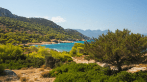 Cretan Culture Tour – 105 Olives Greece | Luxury Private Experiences