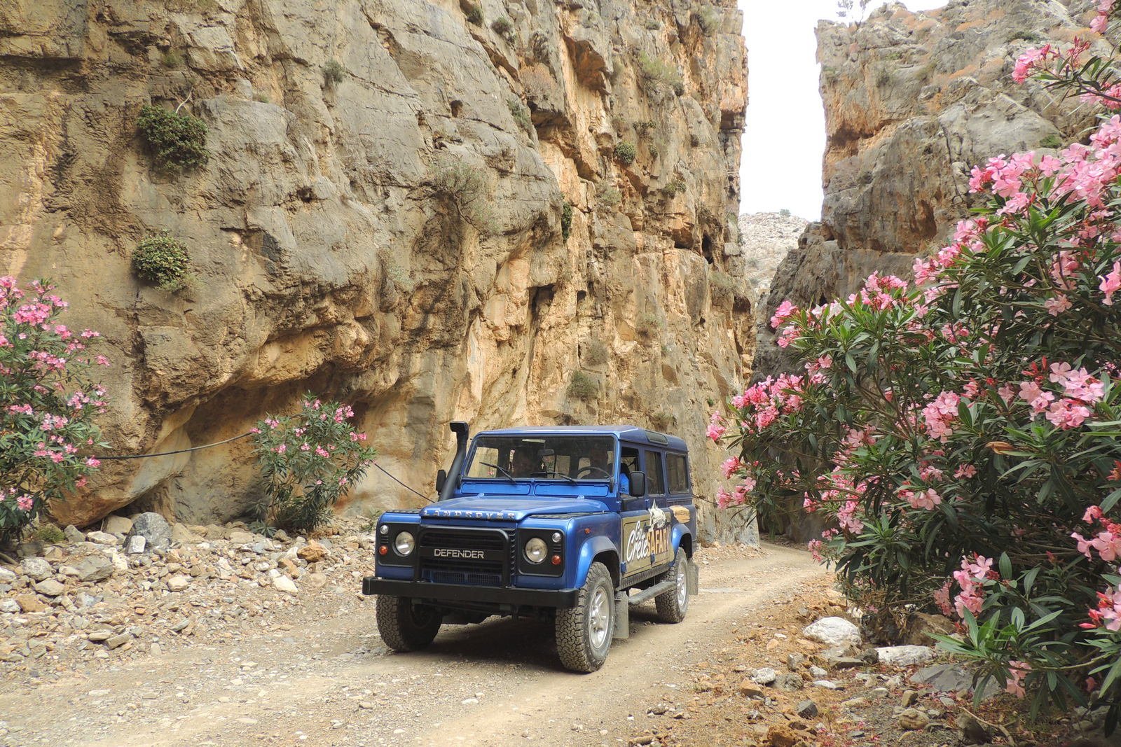 Cretan Culture Tour – 105 Olives Greece | Luxury Private Experiences