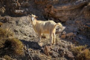 Crete Archaeological Tour – 105 Olives Greece | Luxury Private Experiences