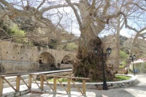 Crete Concierge Service – 105 Olives Greece | Luxury Private Experiences