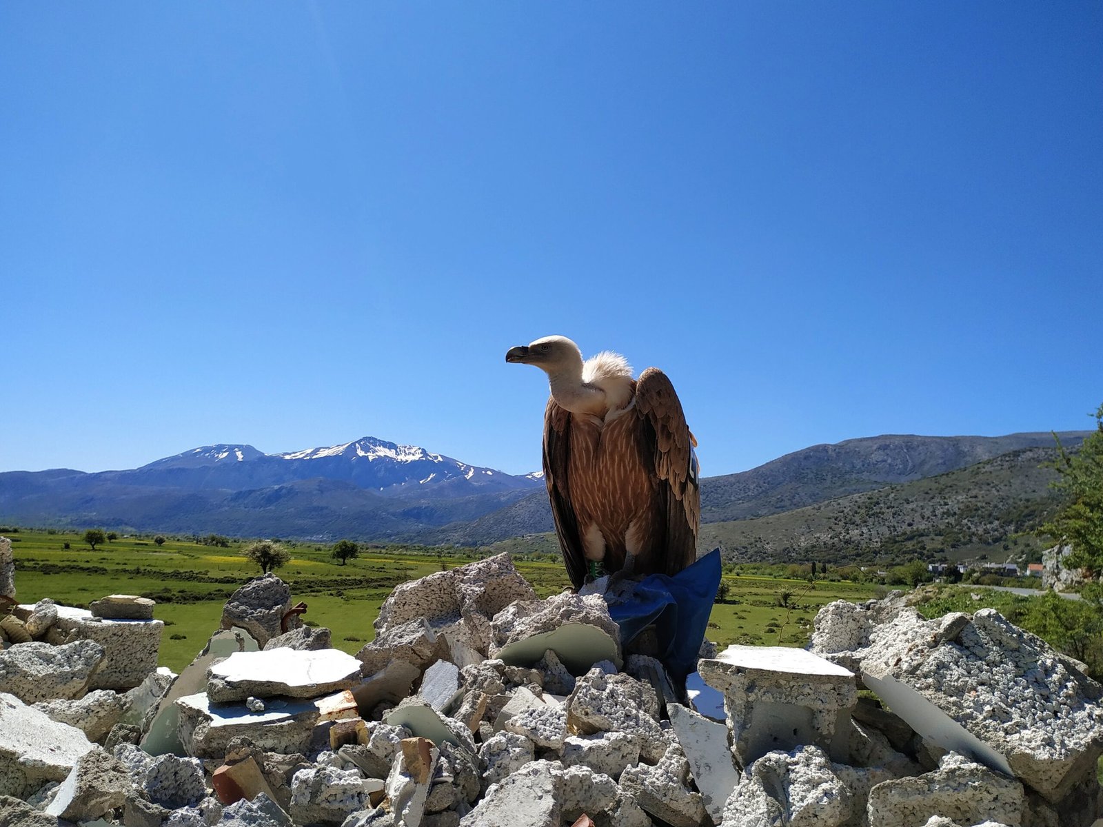 Crete Concierge Service – 105 Olives Greece | Luxury Private Experiences