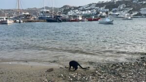 Crete Private Guide – 105 Olives Greece | Luxury Private Experiences