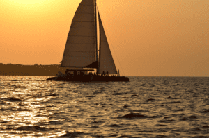 Crete Tours 2026 – 105 Olives Greece | Luxury Private Experiences