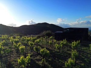 Crete Wine Tour – 105 Olives Greece | Luxury Private Experiences