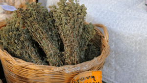 Day Tours Crete – 105 Olives Greece | Luxury Private Experiences