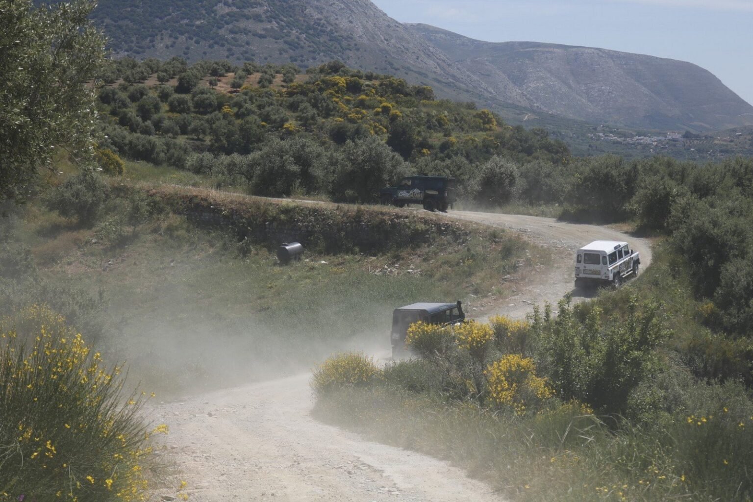 Customized Crete Tours – 105 Olives Greece | Luxury Private Experiences