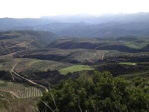 Heraklion Private Tour – 105 Olives Greece | Luxury Private Experiences