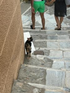 Hidden Gems Crete Tour – 105 Olives Greece | Luxury Private Experiences