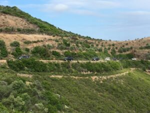Hidden Gems Crete Tour – 105 Olives Greece | Luxury Private Experiences