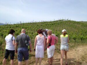 Knossos Private Tour – 105 Olives Greece | Luxury Private Experiences