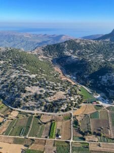 Local Food Experience Crete – 105 Olives Greece | Luxury Private Experiences