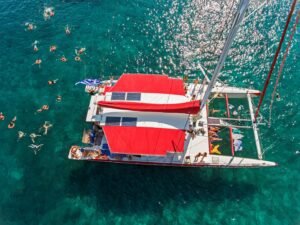 Multi Day Tour Greece Private – 105 Olives Greece | Luxury Private Experiences