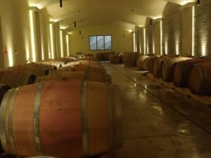 Olive Oil Tasting Crete – 105 Olives Greece | Luxury Private Experiences