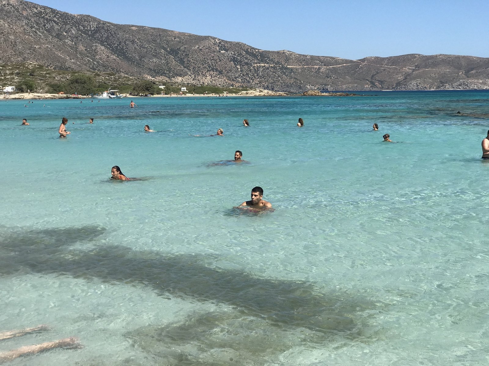 Private Shore Excursion Crete – 105 Olives Greece | Luxury Private Experiences