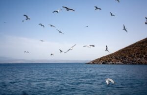 Private Tours Crete Greece – 105 Olives Greece | Luxury Private Experiences