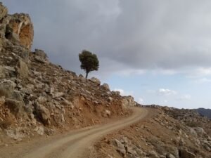 Private Tours Mykonos – 105 Olives Greece | Luxury Private Experiences