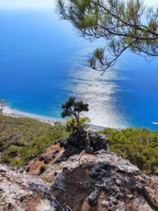 Private Villa Rental Crete – 105 Olives Greece | Luxury Private Experiences