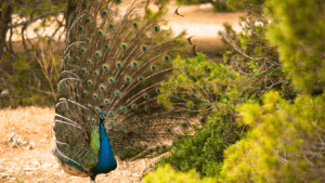 Romantic Tour Crete – 105 Olives Greece | Luxury Private Experiences