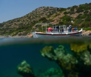 Traditional Taverna Crete – 105 Olives Greece | Luxury Private Experiences