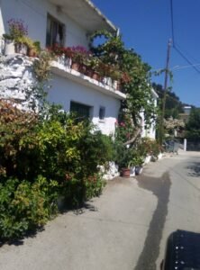 Villa Sea View Crete – 105 Olives Greece | Luxury Private Experiences