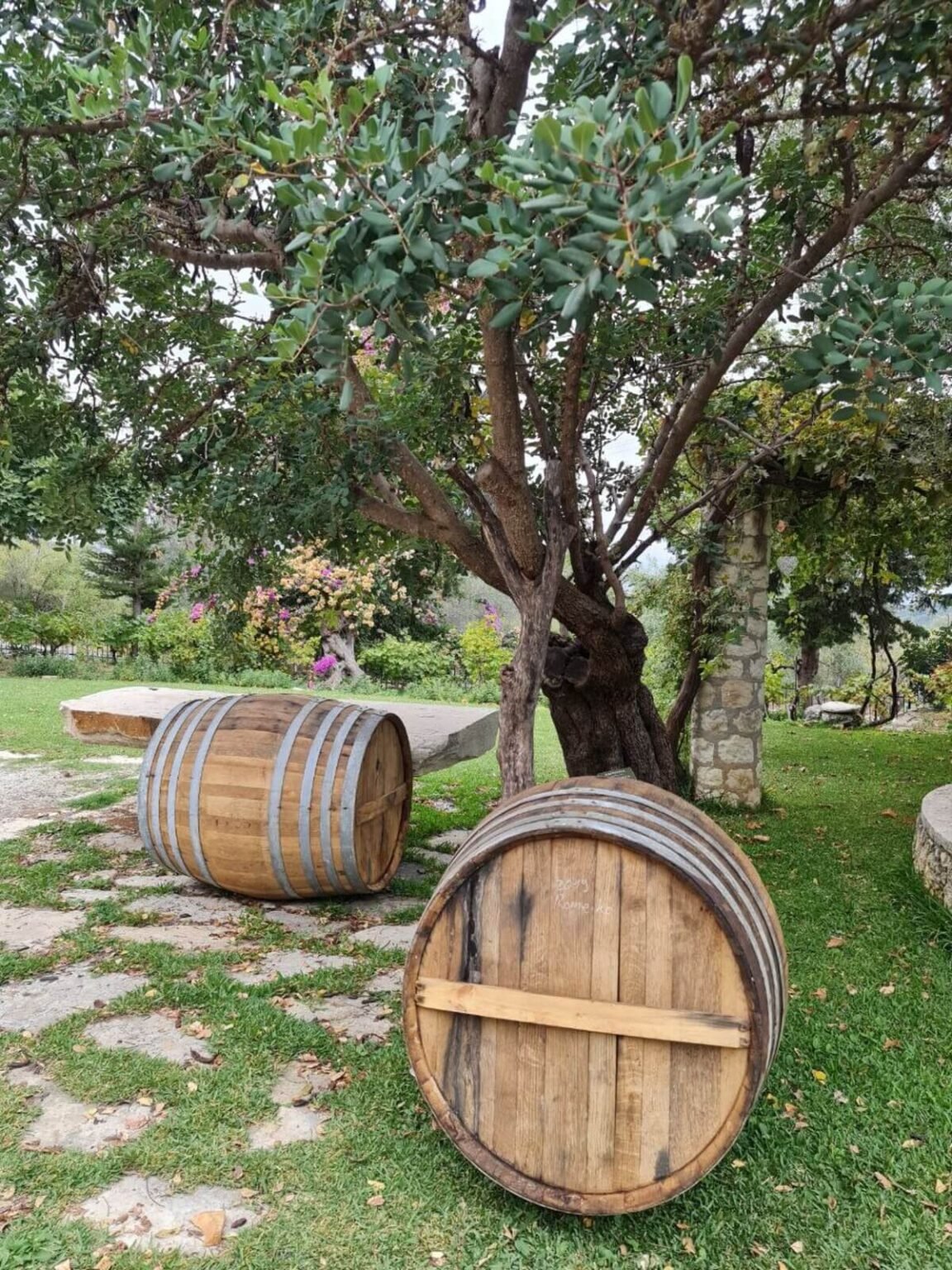 Crete Food Tour – 105 Olives Greece | Luxury Private Experiences